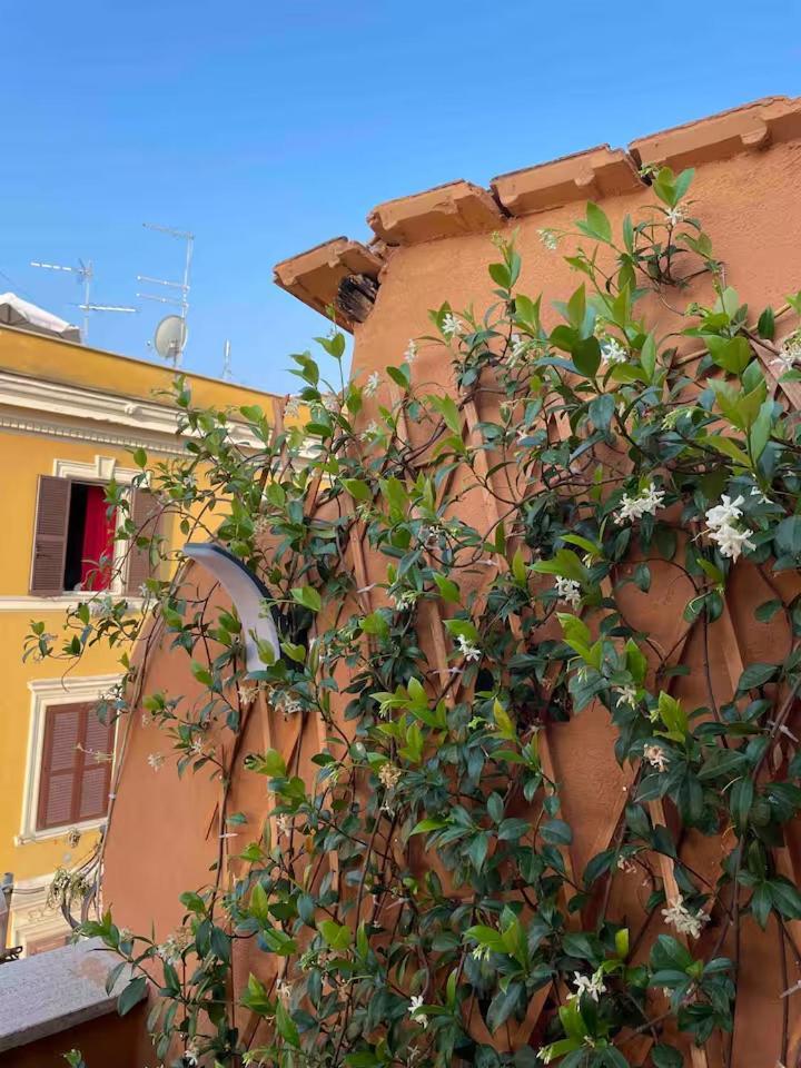 Piccola Homestay Rome